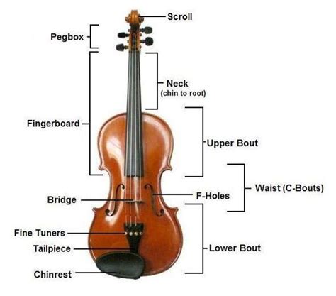 영어 Translation of “바이올린 >영어 Translation of “바이올린 - Iplb